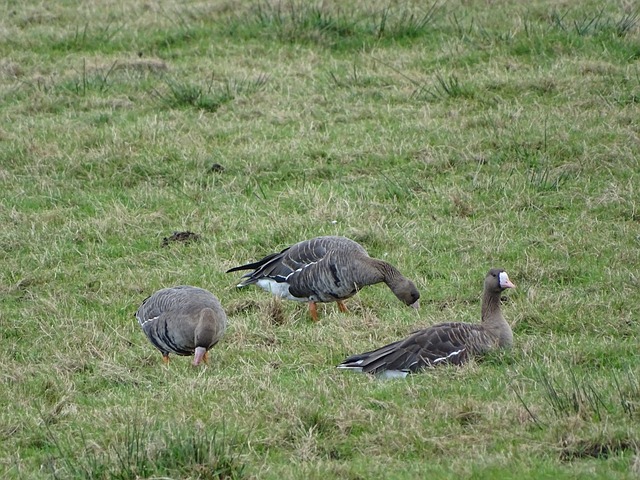 重要角色 重要角色