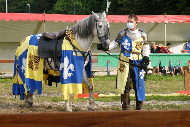 了多维借鉴 了多维借鉴