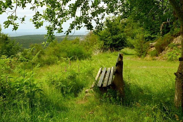 了積極面對 了積極面對