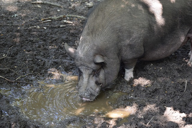 众的环保意 众的环保意