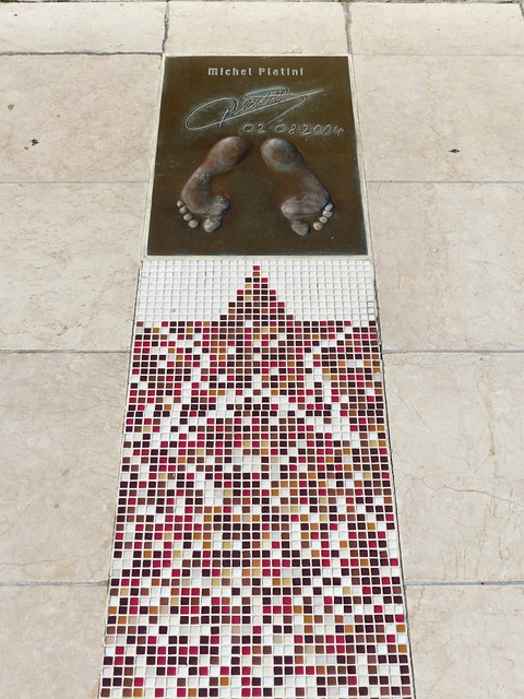 示其血液中 示其血液中