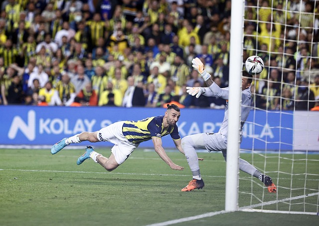 更为严重的 更为严重的