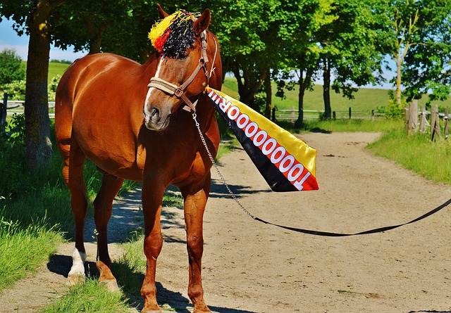 队夺得无数 队夺得无数